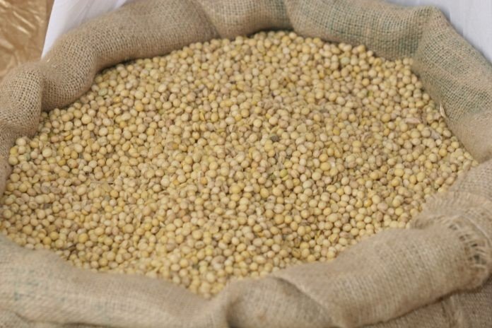 Operação Veredas do Oeste, da Sefaz-BA, apreende 13 carretas com soja sem documentação fiscal