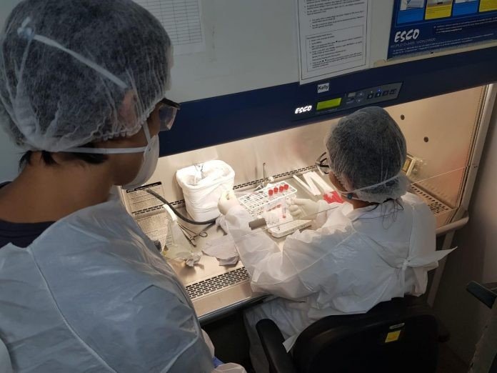 Bahia registra primeiro caso suspeito de Monkeypox