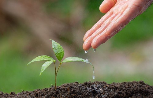 BASA investe em desenvolvimento econômico e ambiental na Amazônia