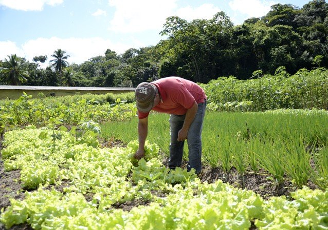 Alagoinhas participa de mapeamento nacional 2022 sobre ações de segurança alimentar e nutricional