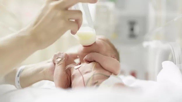 Fome no Brasil: como desnutrição atrasa desenvolvimento infantil em cada etapa da vida