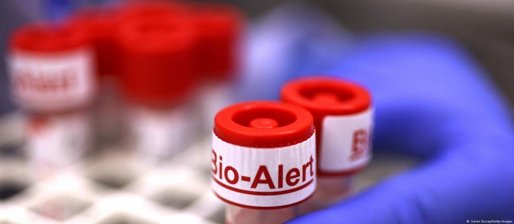 Nova York declara emergência por varíola dos macacos