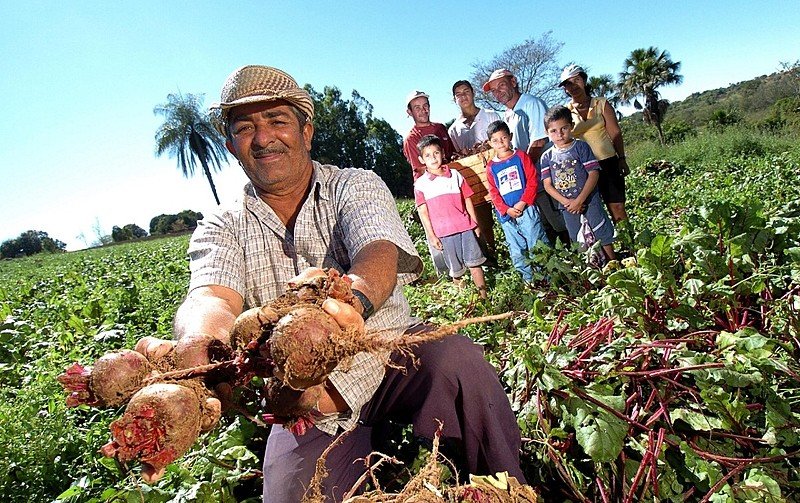 Agricultura familiar elege cinco deputados e um senador