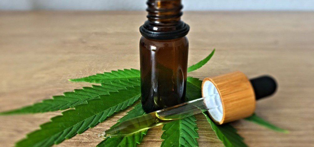 Canabidiol é liberado temporariamente pelo Conselho de Medicina