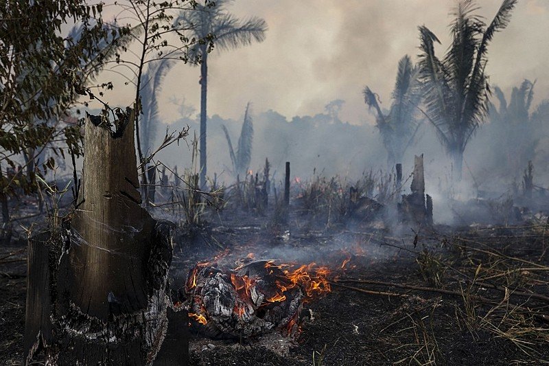 Boicote ao Fundo Amazônia foi 
