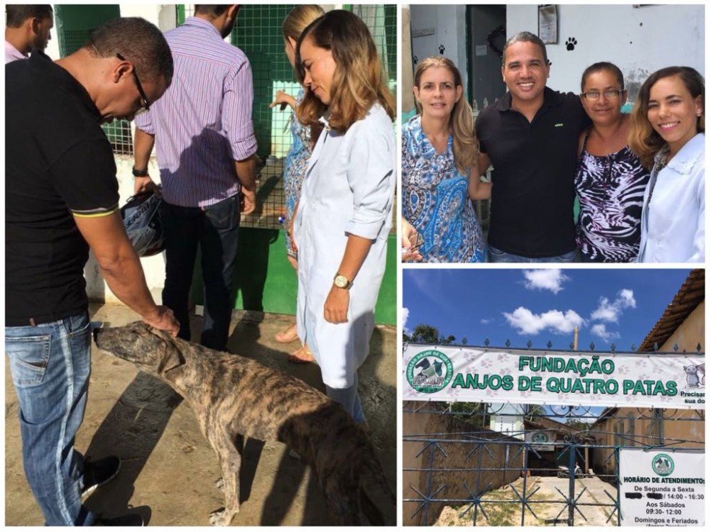 Vereador Luciano Almeida destina emendas para fundação Anjo de Quatro Patas