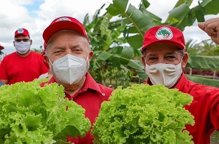 Agrotóxicos: o que governo Lula precisa fazer para zerar fome com comida saudável