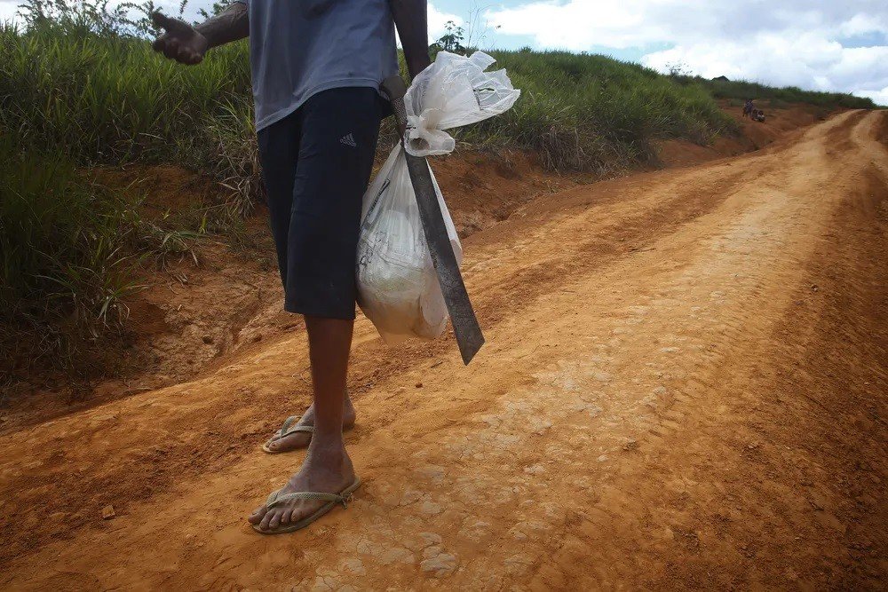 Terra Yanomami: especialistas alertam para o risco de fuga de garimpeiros para outras terras indígenas