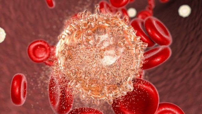 Contato com germes pode prevenir leucemia em crianças, diz estudo