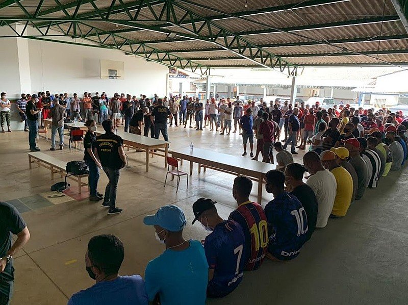 O número de trabalhadores resgatados no cultivo da cana-de-açúcar aumentou 20 vezes em uma década