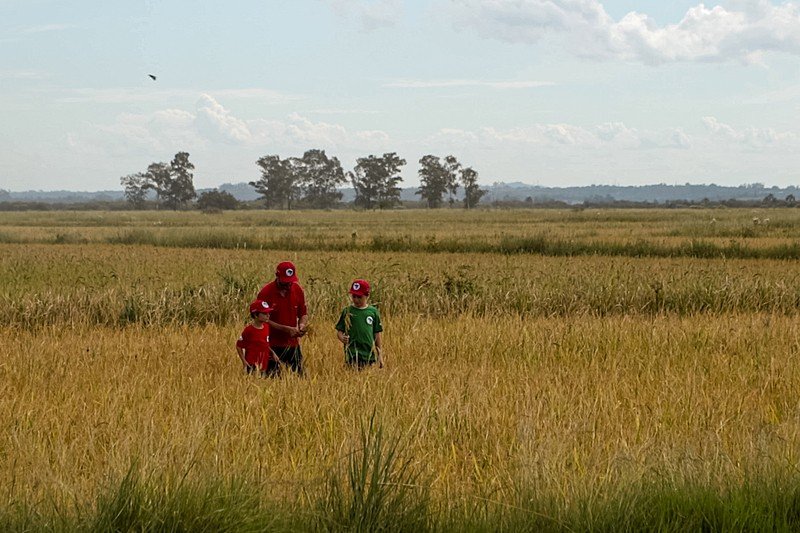 A 20ª Festa da Colheita do Arroz Agroecológico é realizada pelo MST, o qual enfrenta desafios para manter a produção