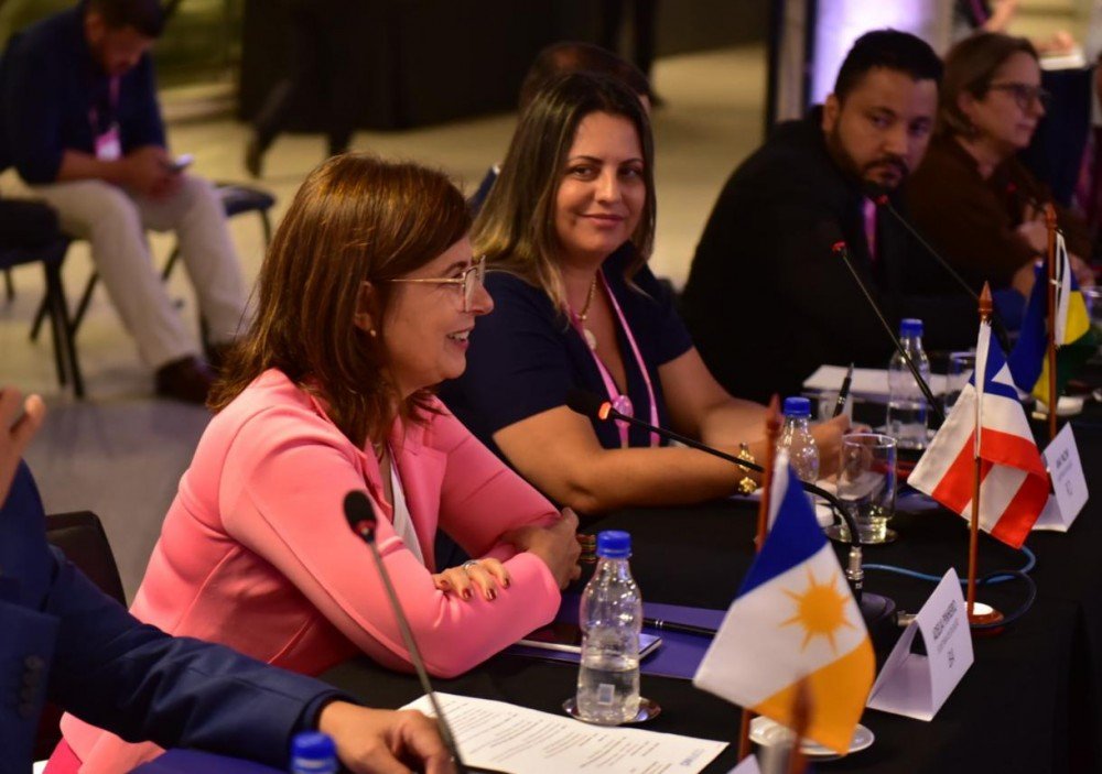 Adélia Pinheiro discute temas prioritários com secretários estaduais da Educação, em Brasília