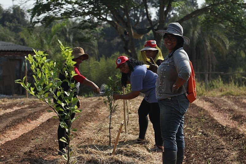 Está previsto que o governo lance um programa nacional para a produção de alimentos saudáveis em maio