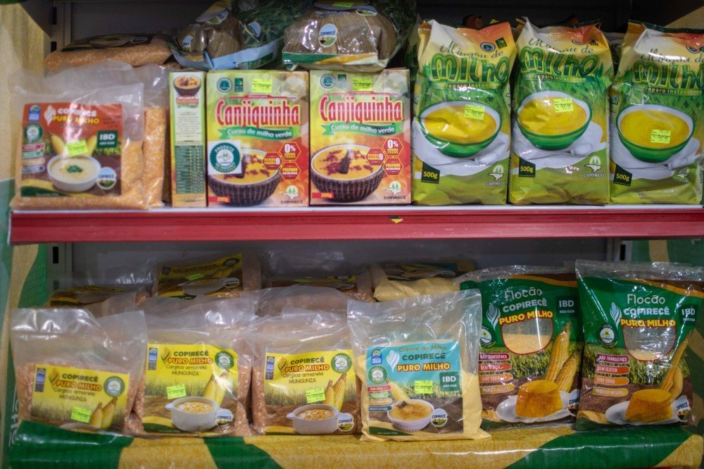 Cooperativa baiana impulsiona produção de milho não-transgênico e conquista resultados expressivos