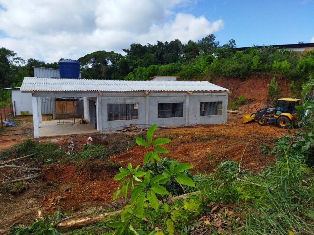 Agricultura familiar vai contar com uma fábrica de vassoura de piaçava no Baixo Sul da Bahia