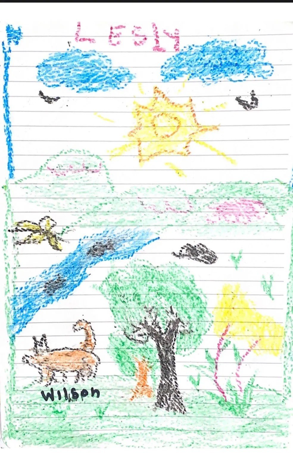 Wilson, o cão herói, ainda está desaparecido na floresta, após a ajudar a salvar crianças