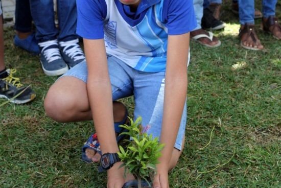 Prefeitura divulga programação para o Dia do Meio Ambiente
