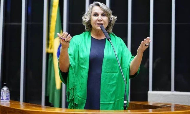 Erika Kokay diz que passado pesa contra Zambelli: 