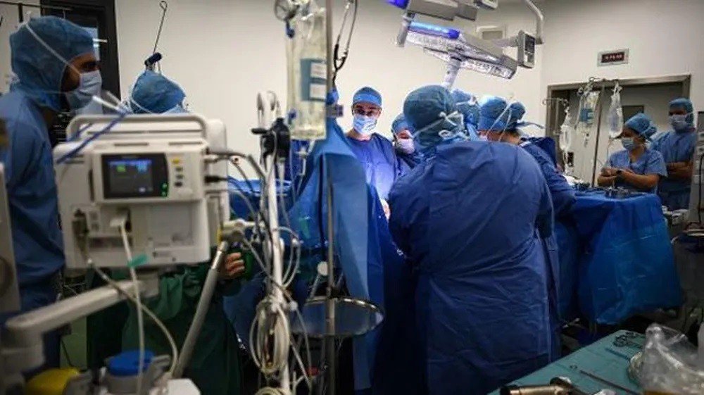 Quase um terço dos transplantes de coração no Brasil foram realizados com menos de 30 dias de fila