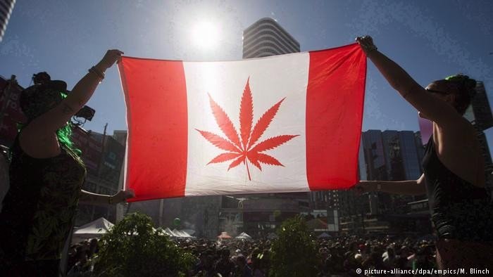 Canadá aprova legalização do uso recreativo da maconha