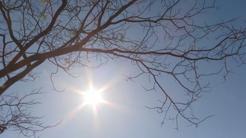 — Foto: Reprodução/TV Globo