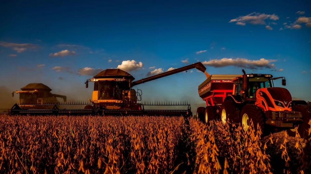 Soja brasileira 'invade' China, cresce no mercado global e deixa EUA em apuros, diz Bloomberg