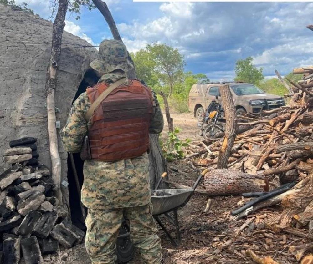 Cippa apreende 25 toneladas de carvão vegetal ilegal na Bahia