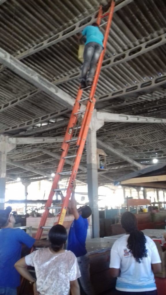 Manutenção na Central de Abastecimento: Prefeitura troca mais de 200 lâmpadas e melhora a iluminação dos galpões