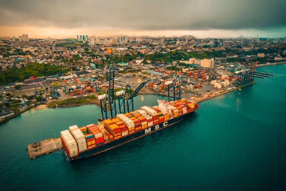 Exportações de frutas crescem 304%