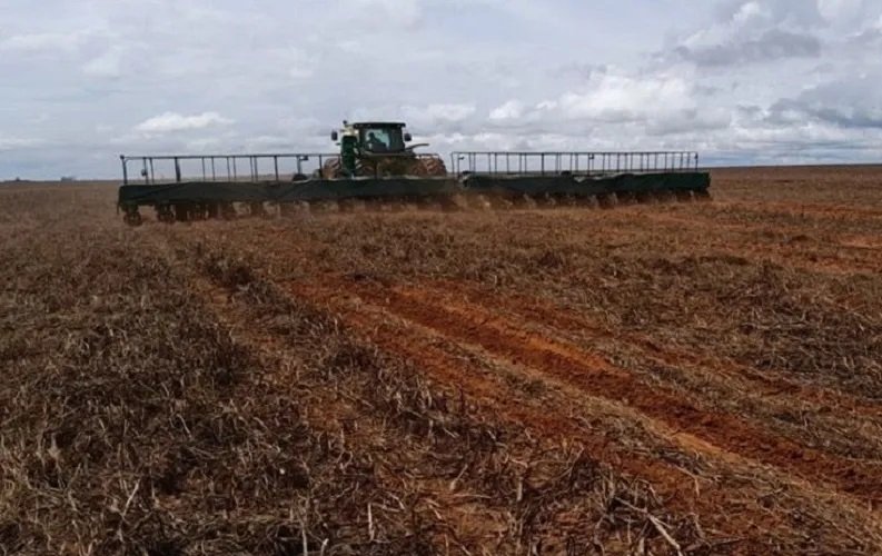 Encerrado período do vazio sanitário do algodão no Oeste baiano