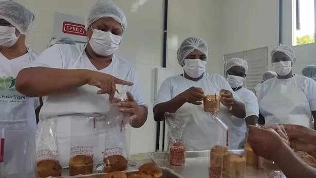 No sul da Bahia, agricultoras produzem panetone de mandioca