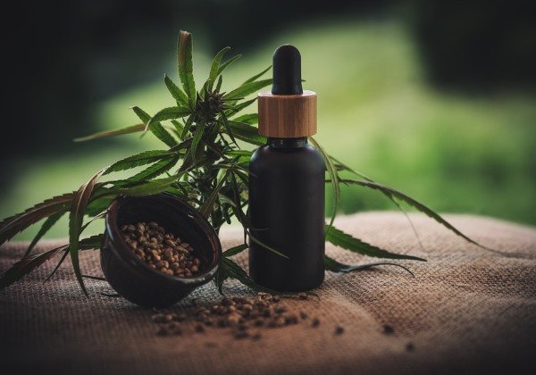 Mercado de cannabis medicinal cresce 140% em 2023