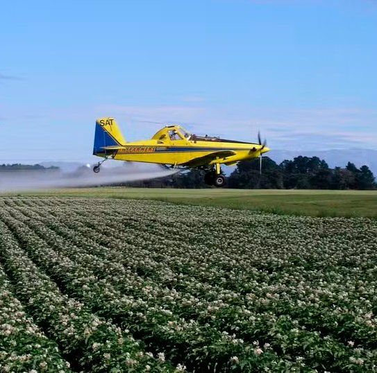 Lula contraria ruralistas, acata sugestões do Ibama e veta trechos na Lei dos Agrotóxicos; veja o que muda