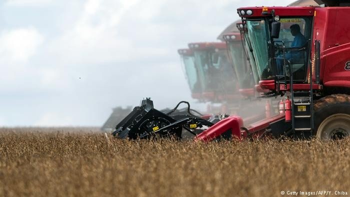Fusão de ministérios ameaça tanto meio ambiente quanto agricultura