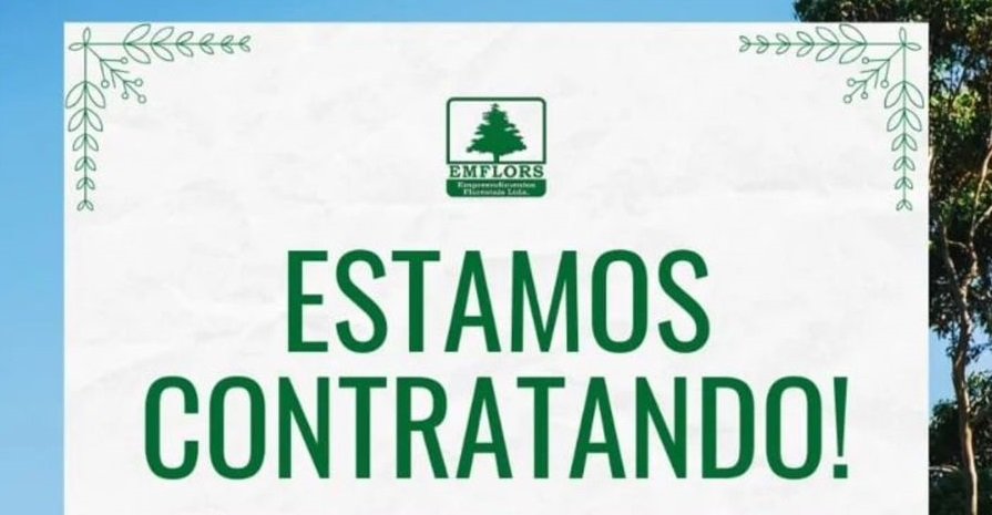 Emflors abre diversas vagas de emprego em Alagoinhas, BA e MS; confira