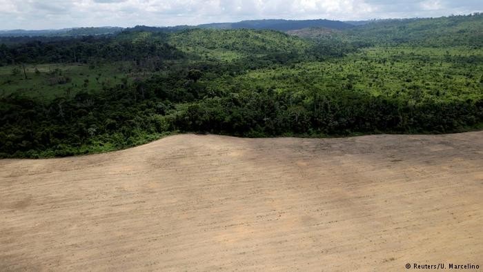 Os riscos ao meio ambiente no governo Bolsonaro