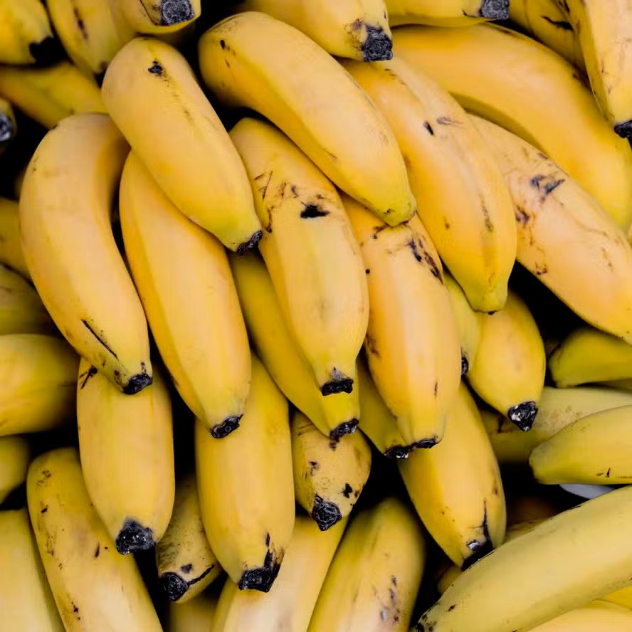 Banana: os 5 benefícios para saúde, como aproveitar os nutrientes e armazenar a fruta do jeito certo
