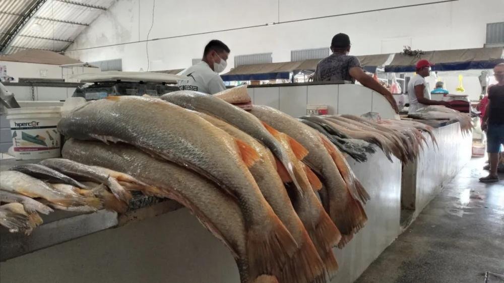 Camarão e peixe vão pesar mais no bolso nesta Semana Santa