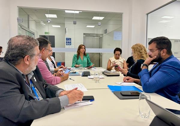 Na Bahia, secretária estadual de Saúde se reúne com municípios para discutir combate à dengue