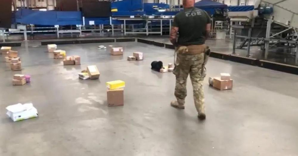 Na Bahia, Polícia Civil apreende cerca de 10 quilos de drogas em encomendas dos Correios