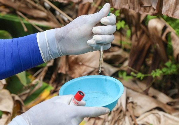 País registra mais de 1 milhão de casos de dengue em 2024