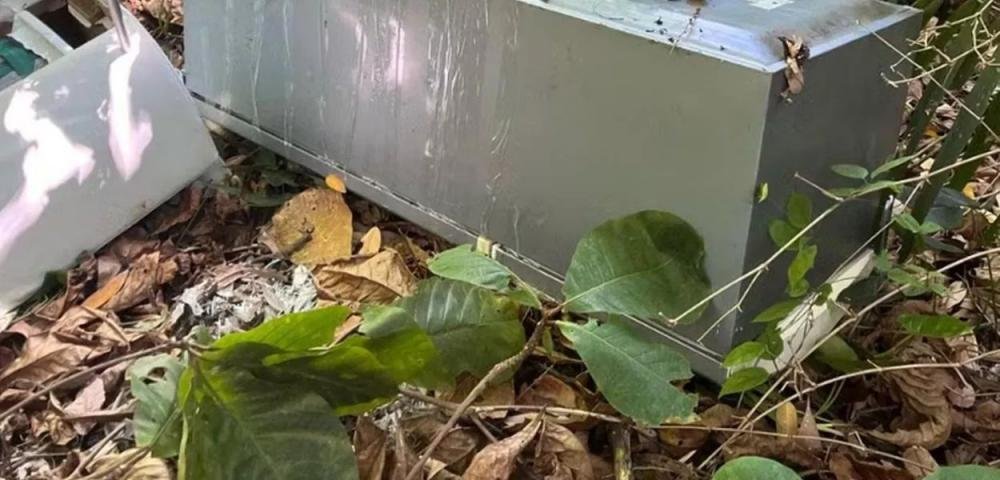 Em Maceió, mulher é achada morta em geladeira