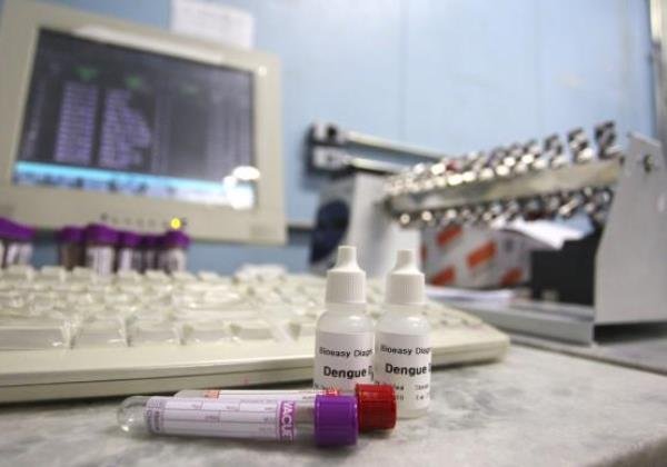 Ministério da Saúde recomenda testes rápidos para diagnóstico de dengue