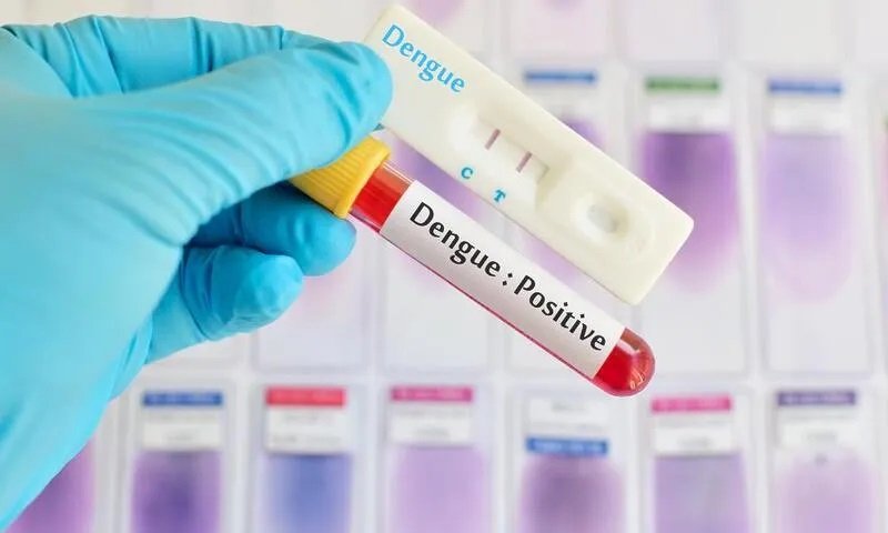 Anvisa adia decisão sobre comercialização de autotestes da dengue
