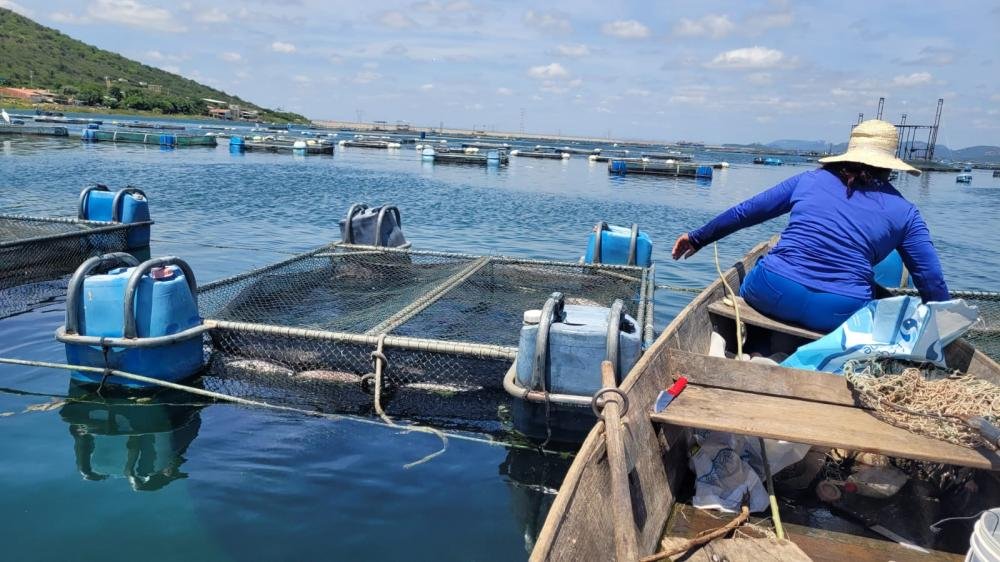 Pescadores artesanais comercializam cerca de dois milhões de reais na quaresma