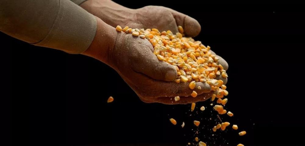 Governo autoriza renegociação de dívidas de produtores rurais