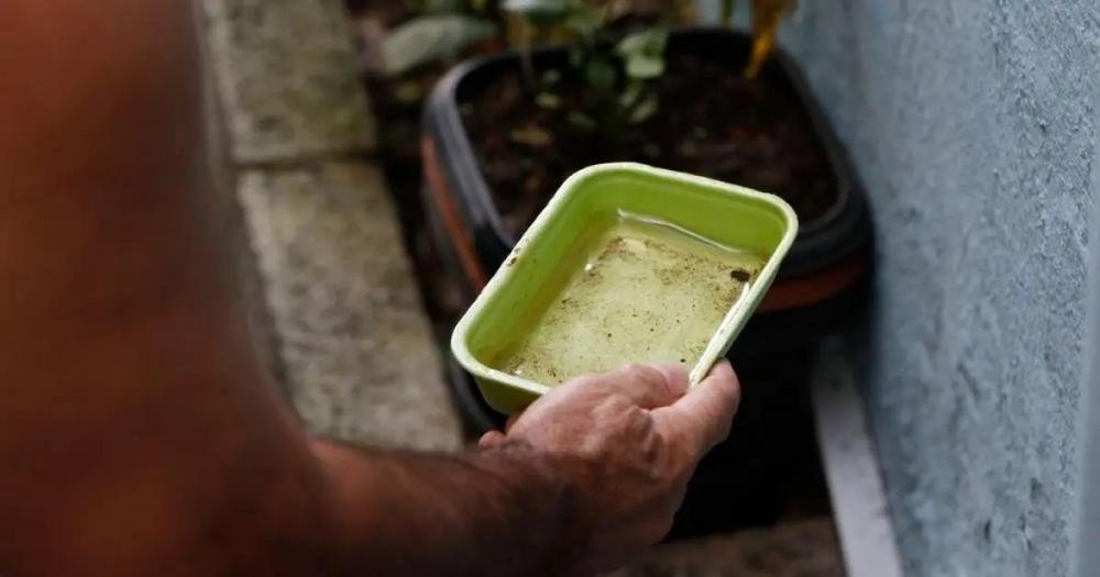 Bahia tem 265 municípios em epidemia de Dengue