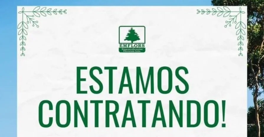 Emflors abre diversas vagas de emprego e estágio em Alagoinhas, BA e MS; confira