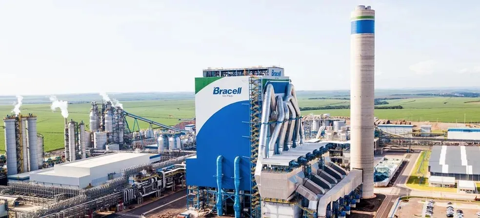 Bracell abre vagas de emprego em Camaçari; confira