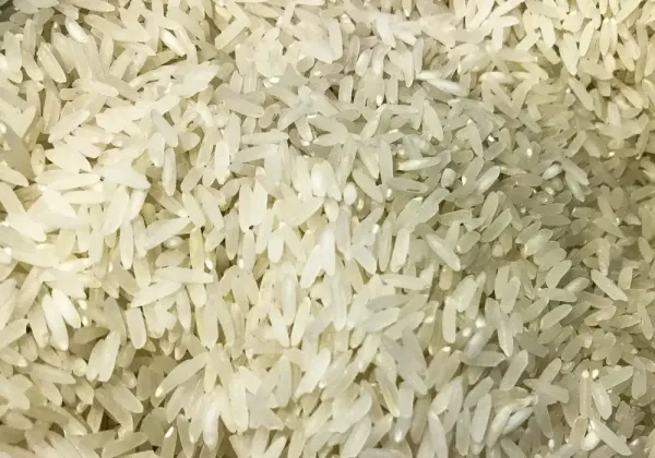 Governo anuncia novo edital de leilão do arroz em até 10 dias
